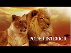 Expresiones que reflejan la fortaleza interior Expresiones que reflejan la fortaleza interior