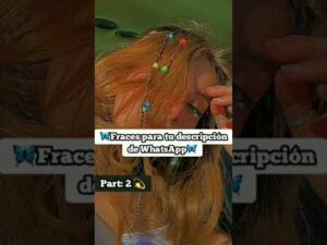 Ideas divertidas para compartir en tu estado de WhatsApp Ideas divertidas para compartir en tu estado de WhatsApp