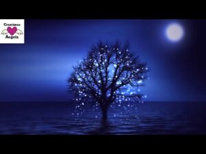 Ideas de frases para desear una noche bella y relajante Ideas de frases para desear una noche bella y relajante