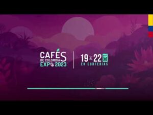 Descubriendo el mejor café del mundo en el año 2023 Descubriendo el mejor café del mundo en el año 2023