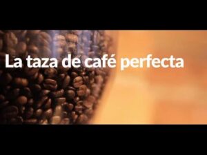Descubriendo la clave del éxito de una taza de café perfecta Descubriendo la clave del éxito de una taza de café perfecta