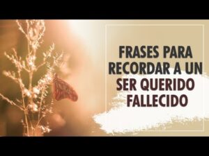 Frases para honrar la memoria de alguien que ha fallecido Frases para honrar la memoria de alguien que ha fallecido