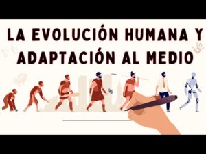 Orígenes y evolución de las tazas a lo largo del tiempo Orígenes y evolución de las tazas a lo largo del tiempo