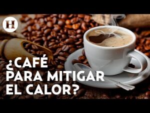 Café frío vs caliente: ¿Cuál te da más energía? Café frío vs caliente: ¿Cuál te da más energía?