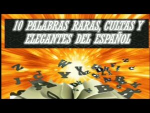 Descubriendo las palabras más curiosas y poco conocidas del idioma Descubriendo las palabras más curiosas y poco conocidas del idioma